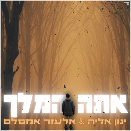 תמונה