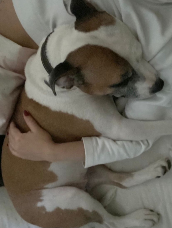 3EA83B06-F6D0-4367-A1A6-90E2941F066F