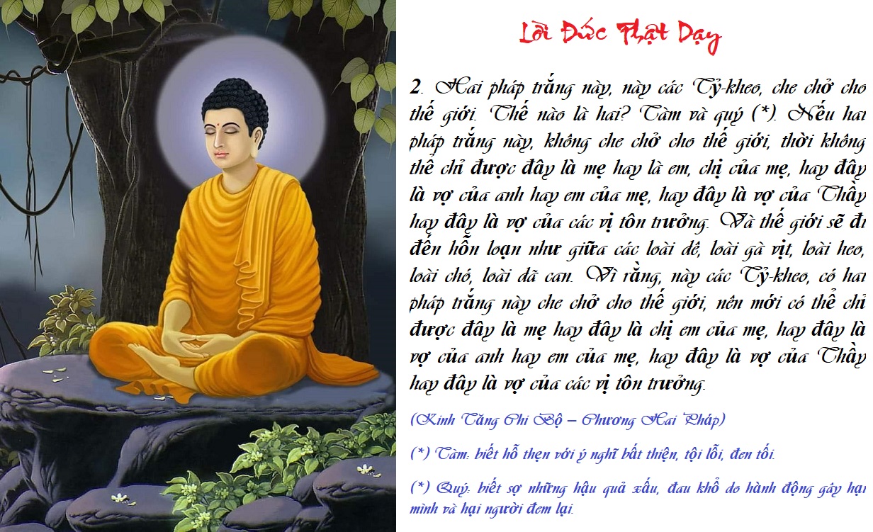 [Image: L-I-D-Y02-T.jpg]