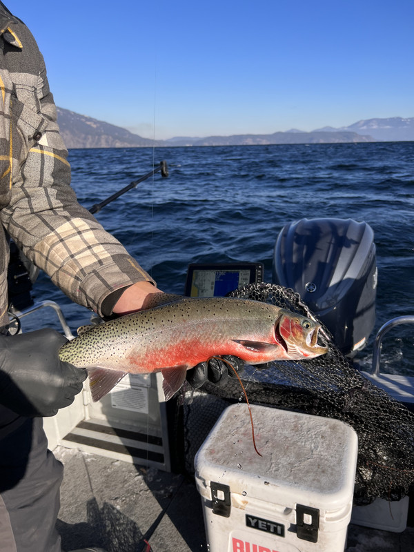 42DECCB3-A671-4B95-B25D-FF849DD505A2