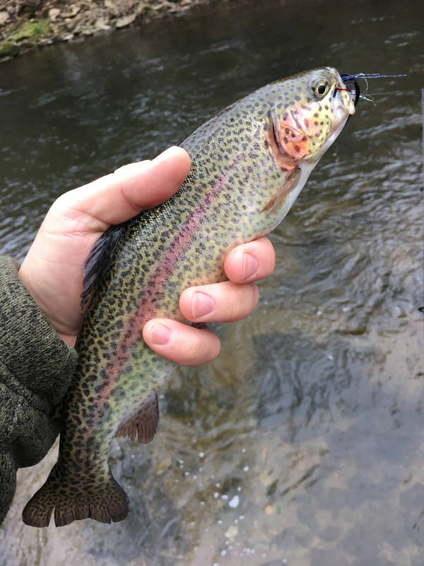 8C7A781E-3030-4854-89E7-8D297E316474