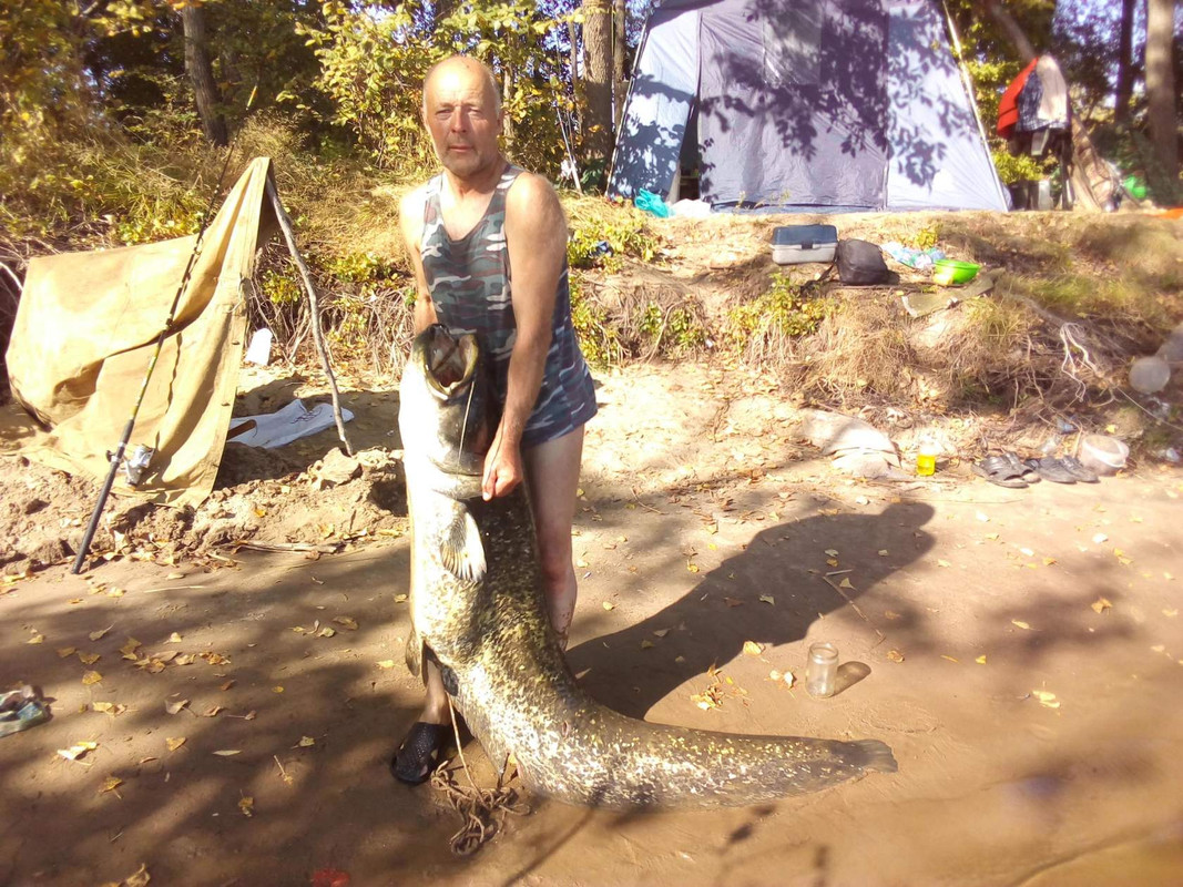 Владимир Метлов ОК.