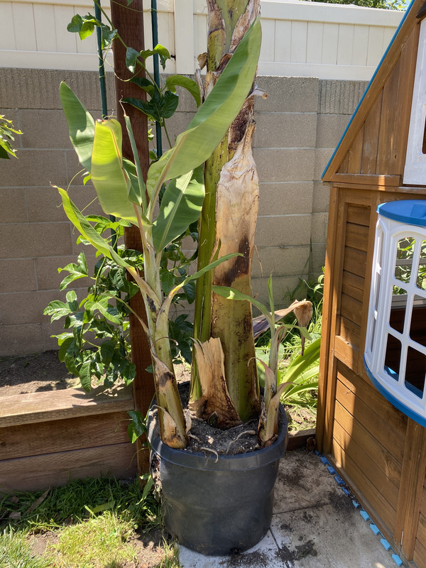 1E178DA6-E019-4B73-B78F-9CD1355C547D