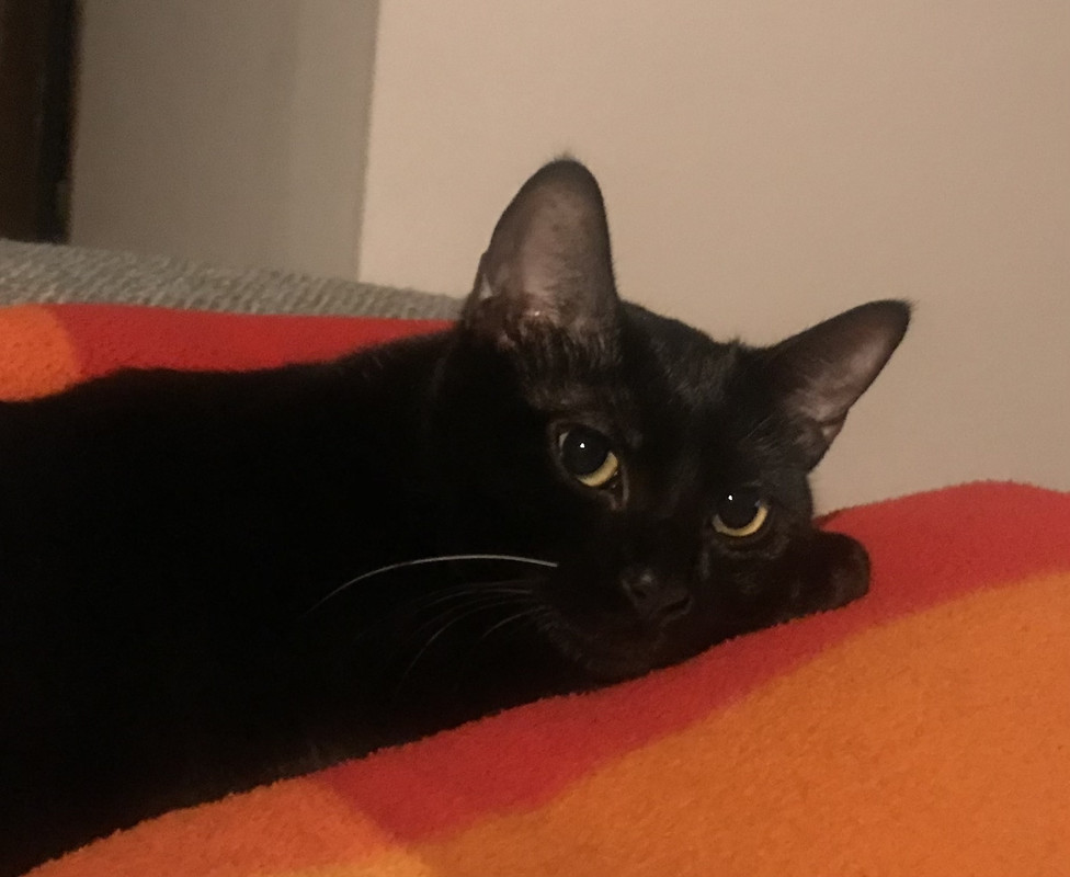 B0B044D6-8EB5-4B0B-BE2E-7704BCFDE247