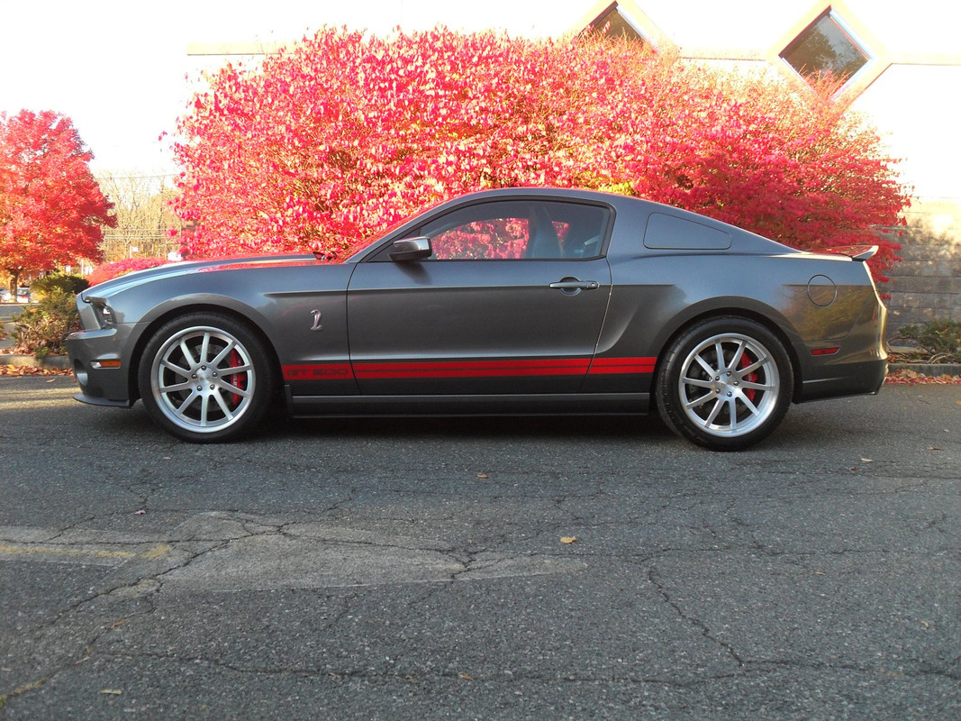 X-S Fall pic run - 3 098