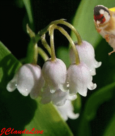 0C28B5C3-A93E-4715-8E17-7A5607A95920