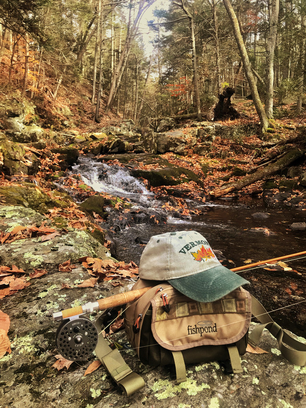 04A1BDE9-BC06-4814-8680-64CE6EA897C5