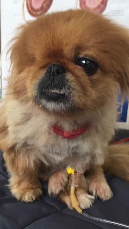 80343DE2-91E9-42B1-AB1E-C4E2D92B3BB8