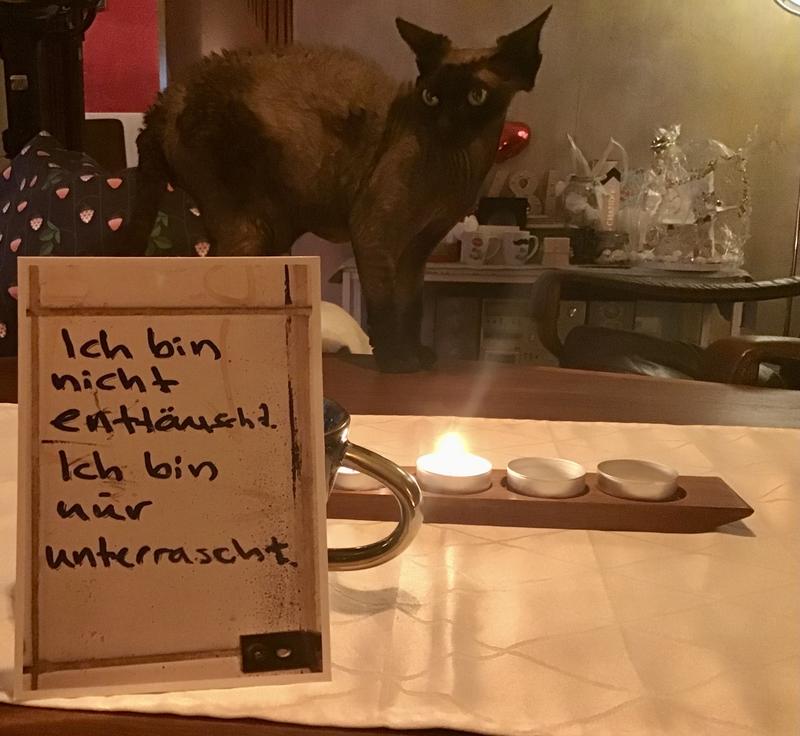 [Bild: IMG-4375.jpg]