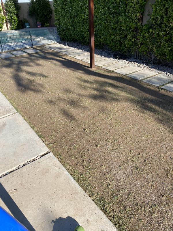 5D10F5CB-7006-4A68-AAB5-635E8A0FB3EA