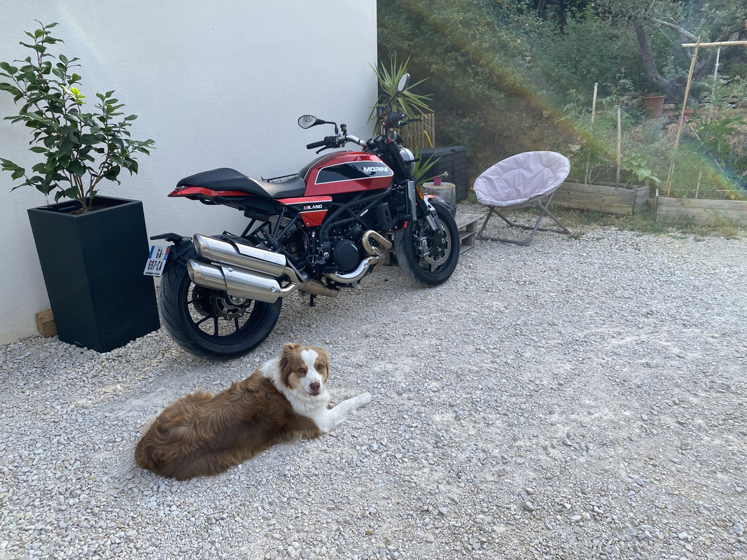 ABCF8E8E-A0CD-4836-AFE6-1D95EACB2BF9