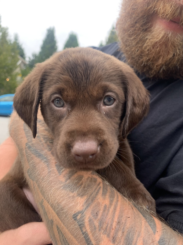 AEAE77E3-7C49-4106-B547-A583EB8DE9A0