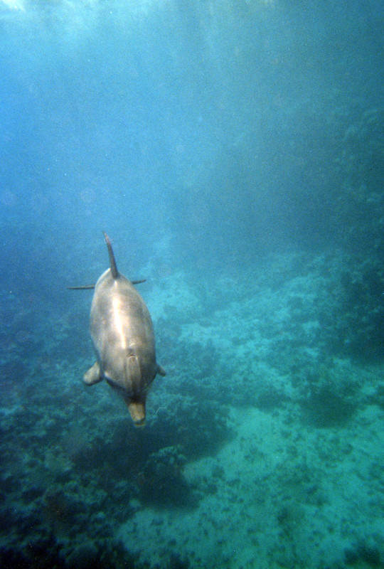 МАКСИМ ПЛАЗА ЦИФ?А (27)