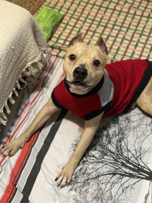 2731A1E5-9363-4BD0-84FC-9F8C842C2B2D