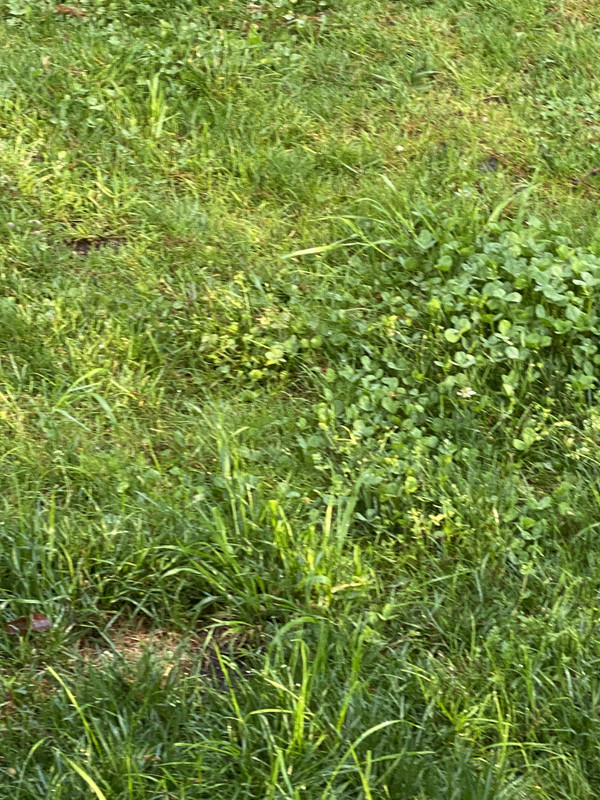 B5D67ECE-D68F-45AB-90C4-413066865625