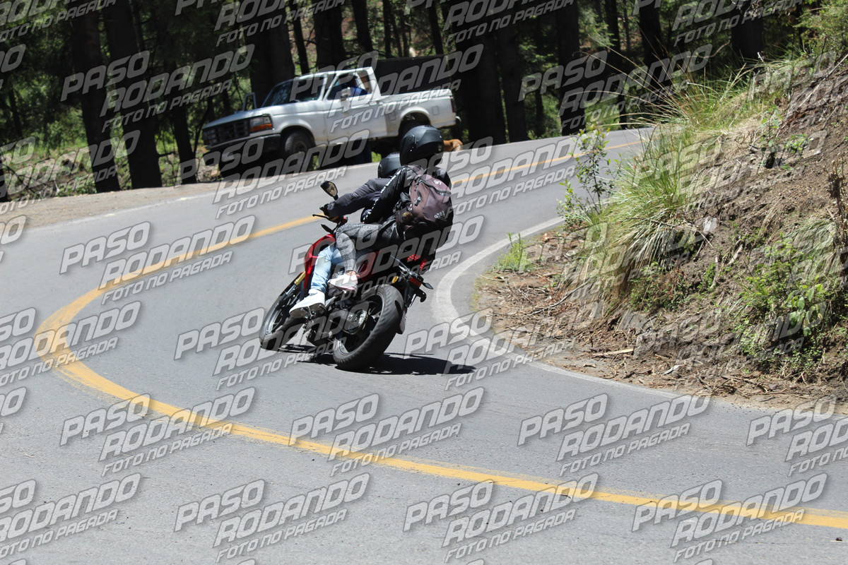 IMG 8747 wm 7172897 6 watermarked — Postimages