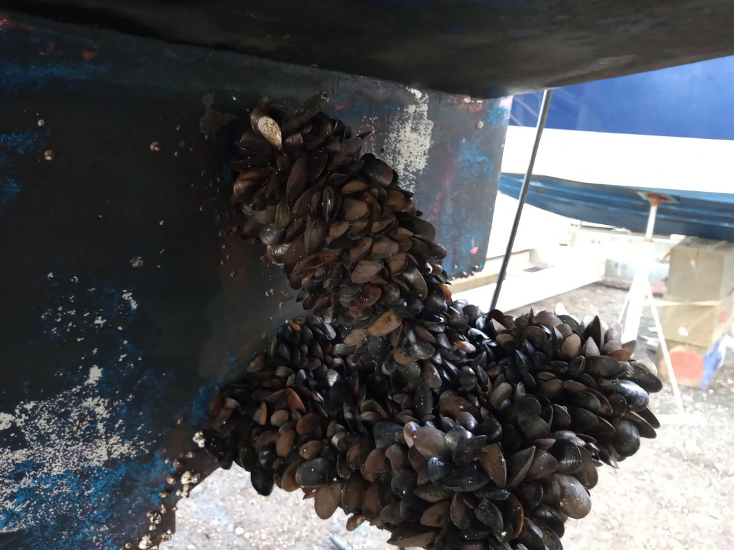 IMG_20230130_132754018