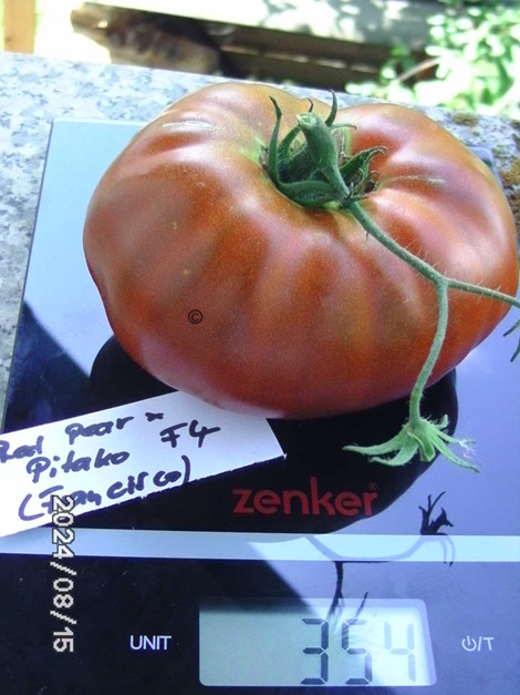 [Bild: BILD0331.jpg]