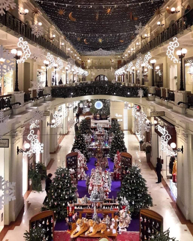 262625987_5212725615407585_3863098725684560979_n