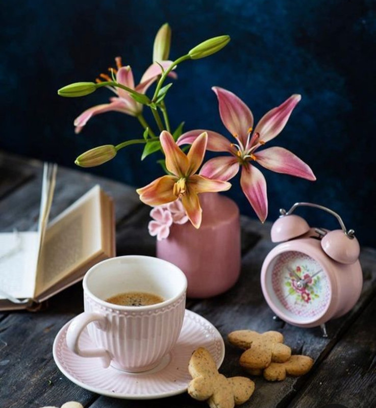 Screenshot_20230330_003256_Pinterest