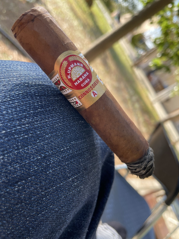 6033963D-5CC4-48DF-AD77-7C87EE2A53A2