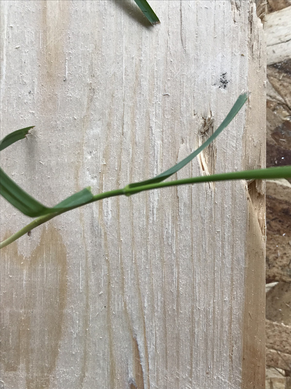 837B0585-EB26-4058-ADC7-95735ECE3251