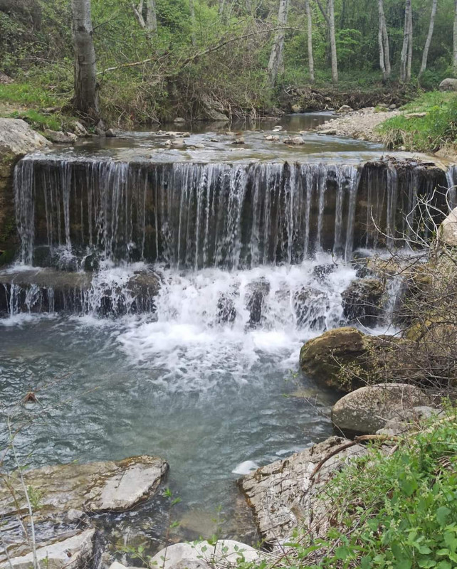 FB_IMG_1651528651592