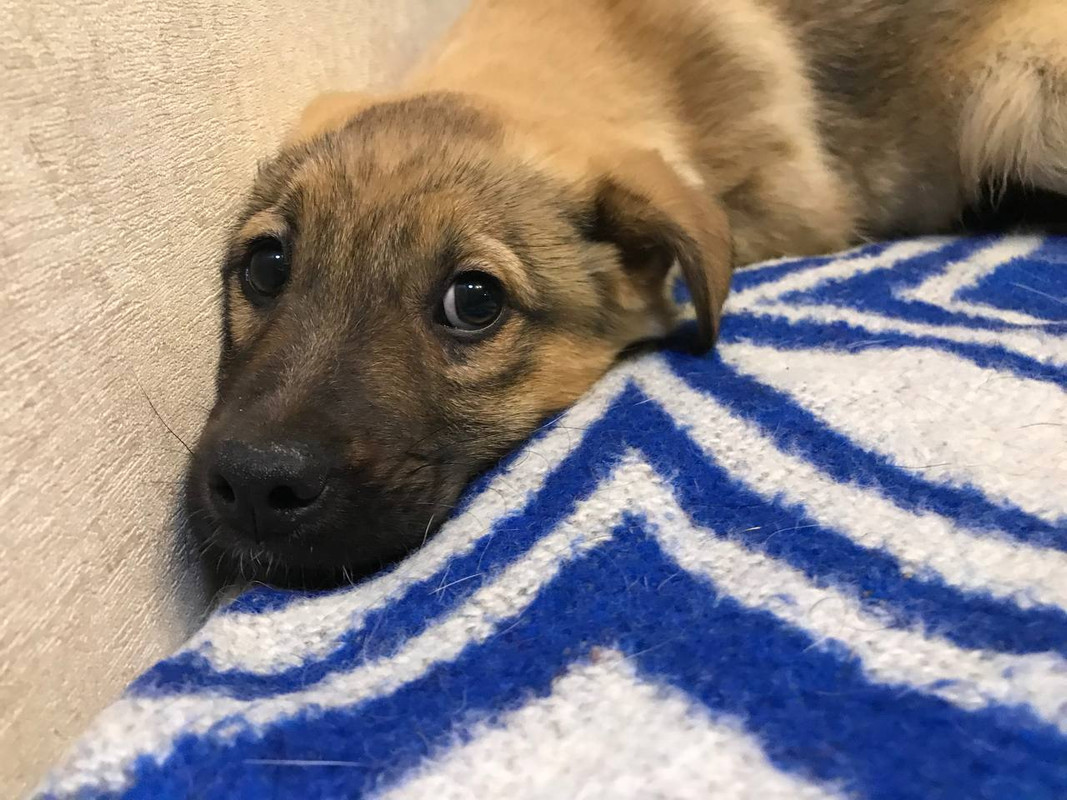 35AC6E61-F7CD-47BA-A306-287A8138280E