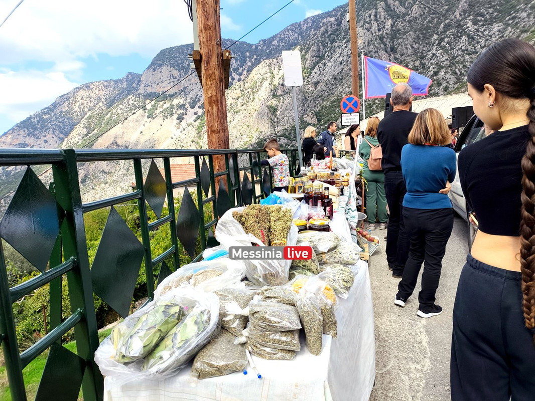 LADASIMG-20251012-123931