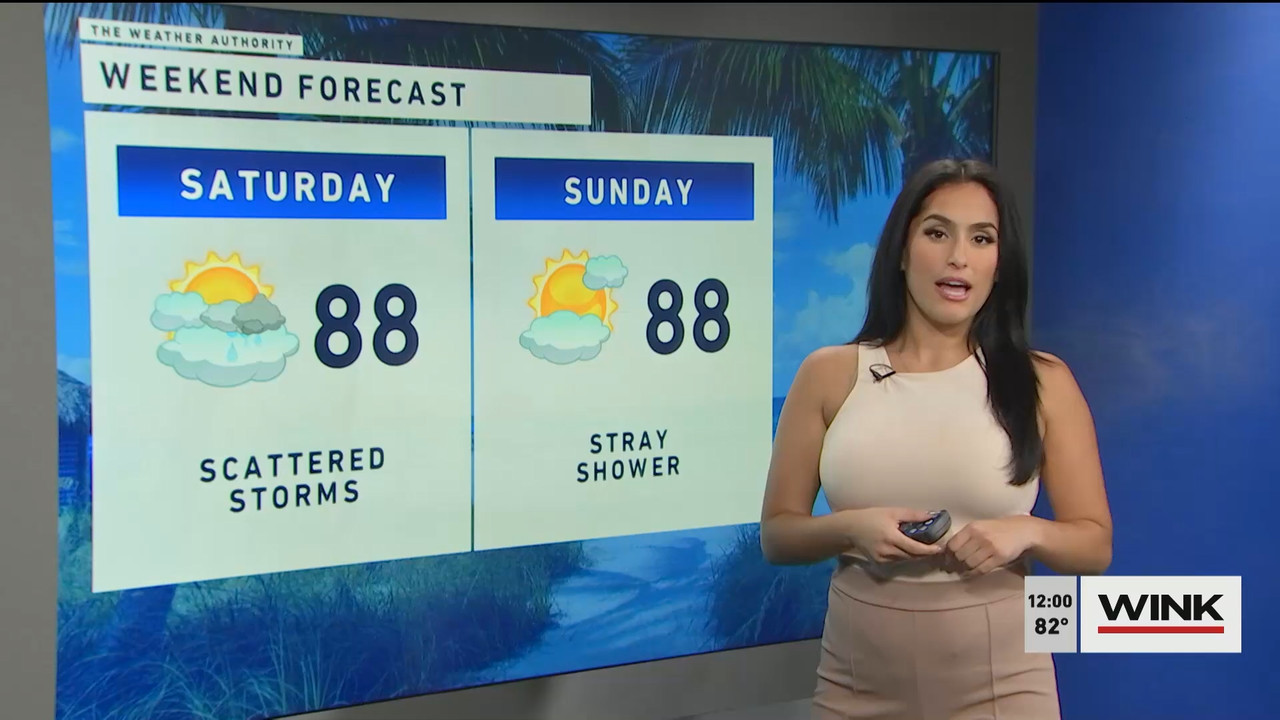10.14 - 17.00.00 - The WINK Noon News  ᴺᵉʷ. Midday news update..ts_snapshot_07.18.851