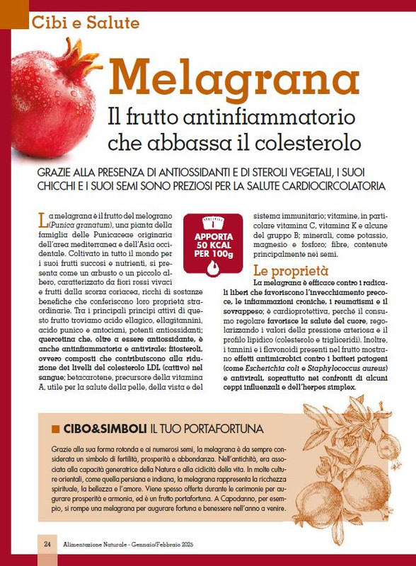 Alim Nat Gen-Feb 2025 (3)