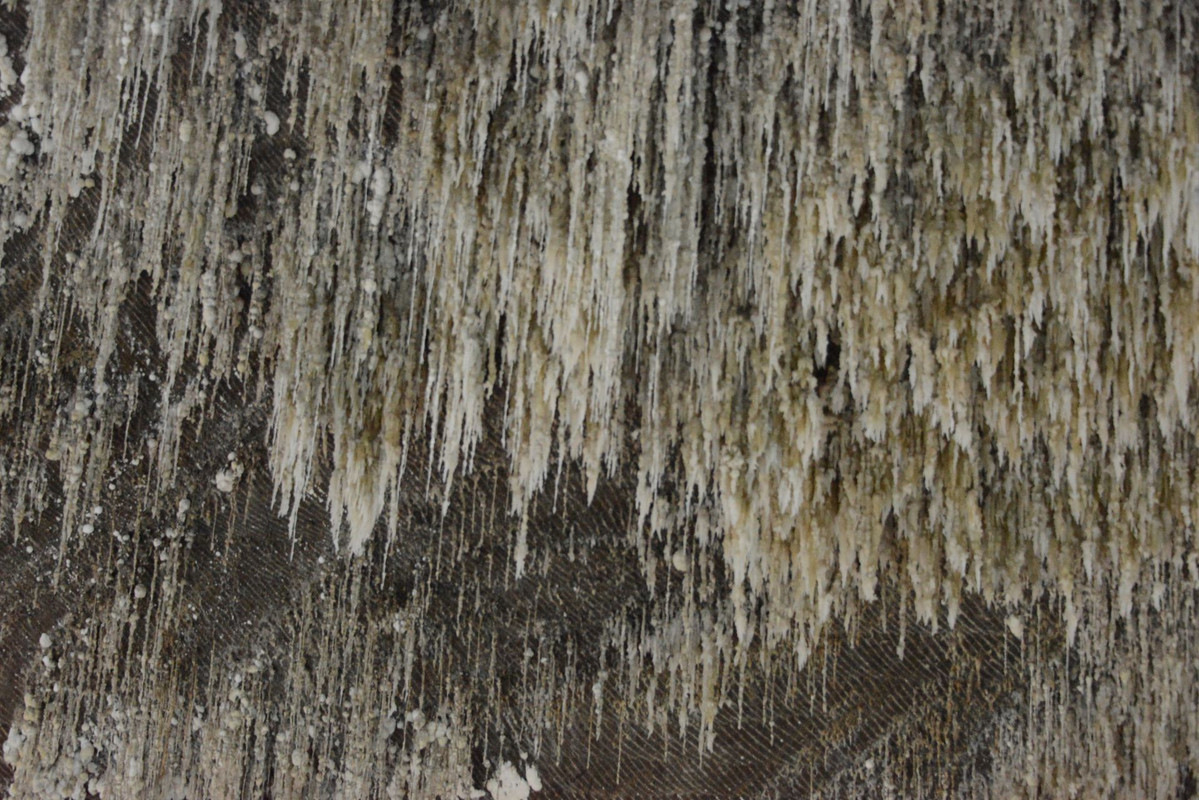 DSC-9945.jpg