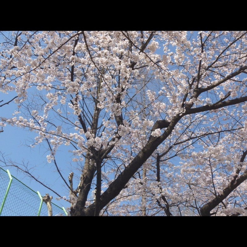 photo 4 2026 05 19 19 45 22