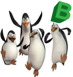 Los Pinguinos, de Madagascar B