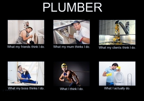 what-people-think-i-do-plum-meme.png