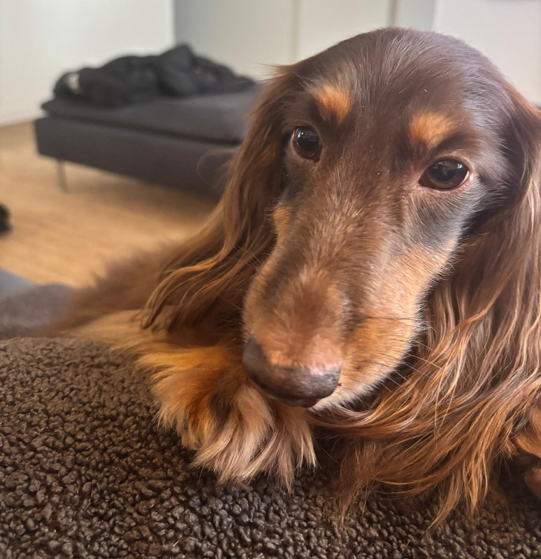 [Image: IMG-20250209-WA0007.jpg]