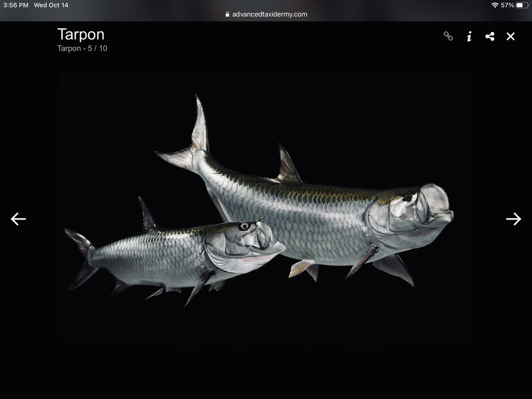 DBB25652-23C5-45EF-832D-E38746C43974