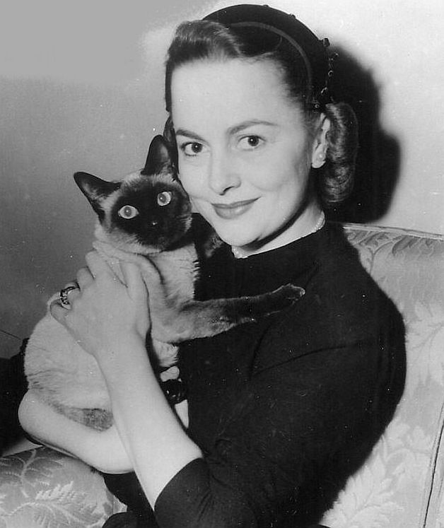 olivia_de_havilland_c41