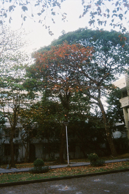 Kodak-UMHF-113-resize