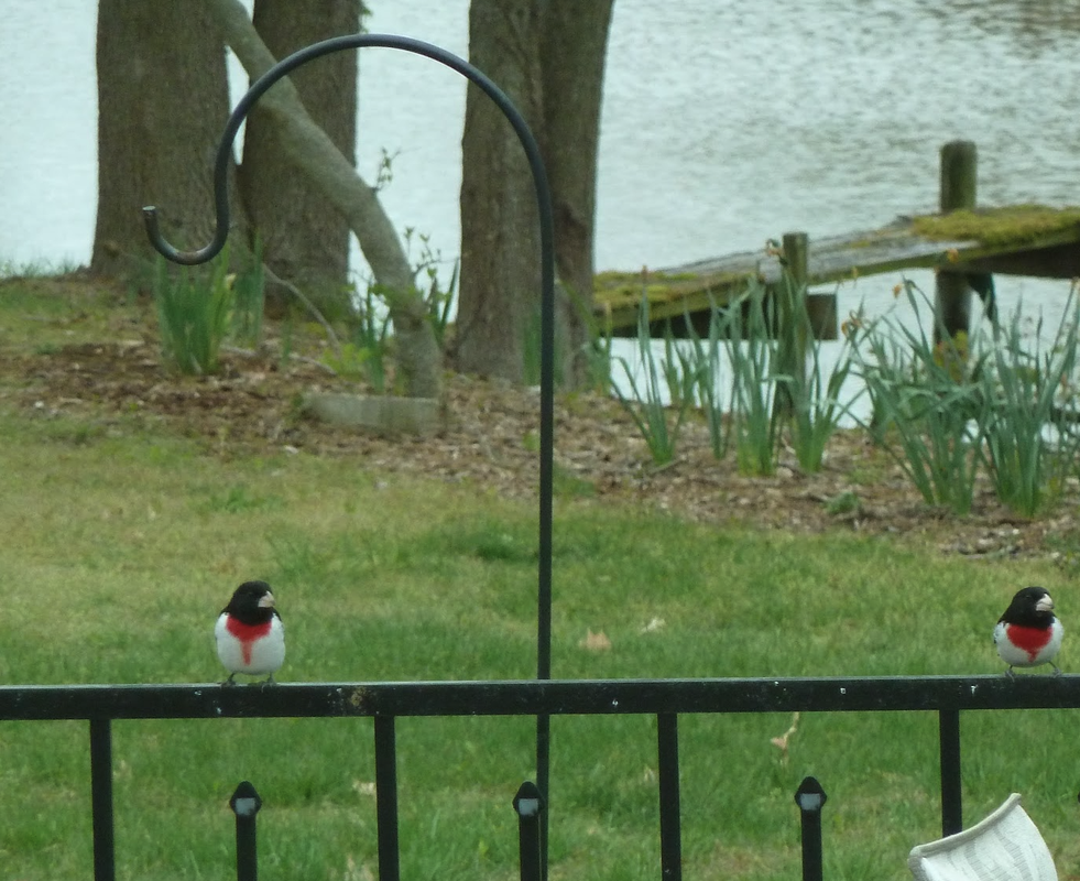 Screenshot 2025-05-12 at 3.22.58 PM