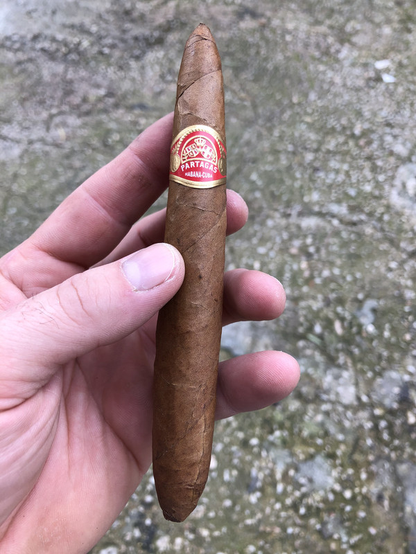 786E91CF-4F11-42D5-AF24-C347CA9610DF