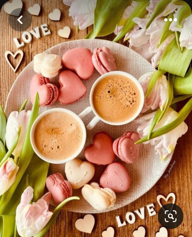 Screenshot_20230717_221024_Pinterest