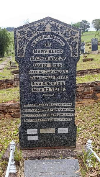 Такая близкая Африка. (ЮАР. 22 дня и 4200 км. Ноябрь-Декабрь) Такая близкая Африка. (ЮАР. 22 дня и 4200 км. Ноябрь-Декабрь)