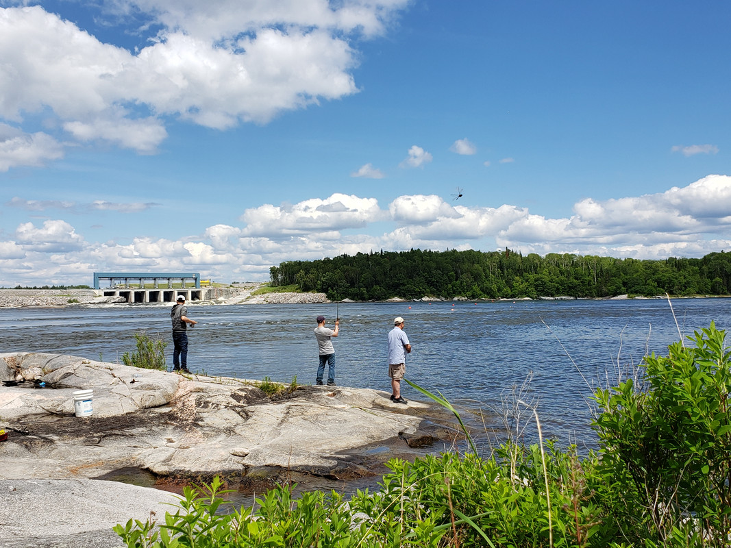 [Image: 20190623-144021.jpg]