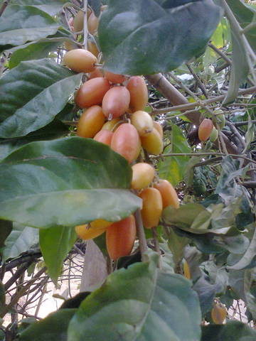 Photo0015