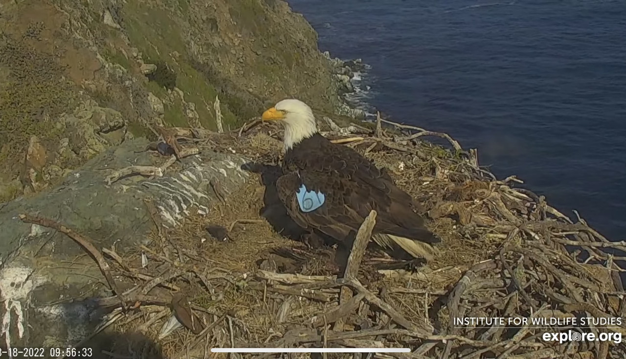 CCC994DC-F66B-4CE7-AABC-E17DA63B7AF0