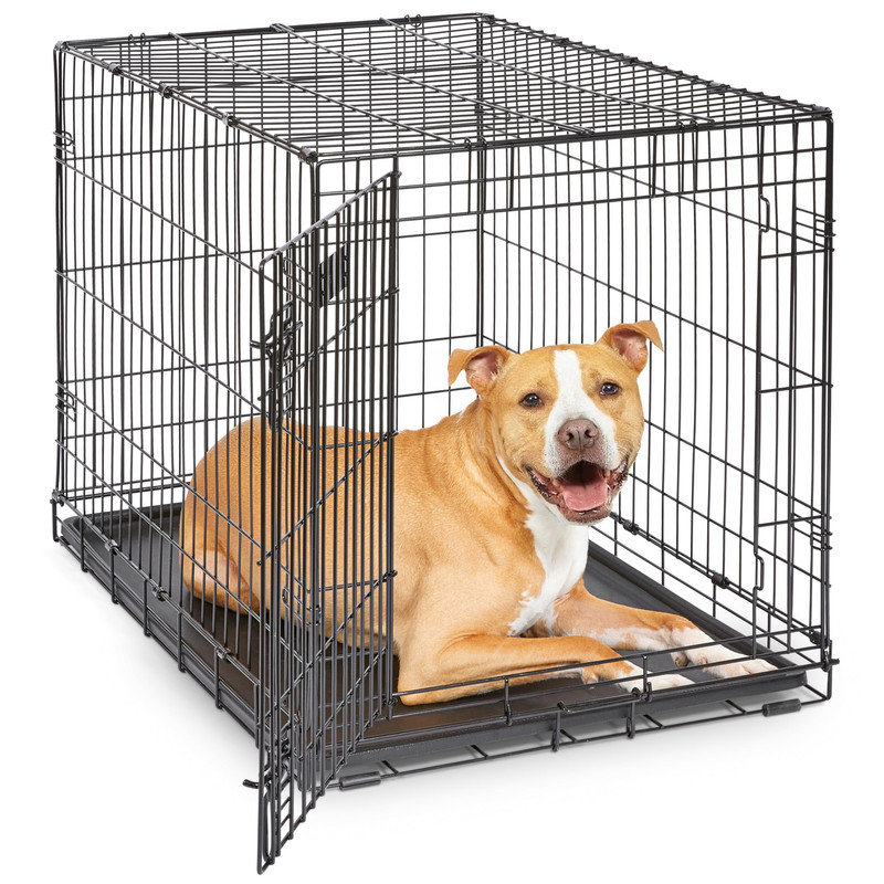 MidWest Homes for Pets 36-Inch iCrate Medium-Large