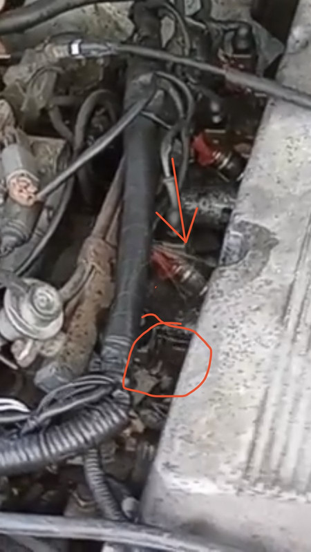 04E213AA-85A2-4387-8D58-2C77BE4F92EB