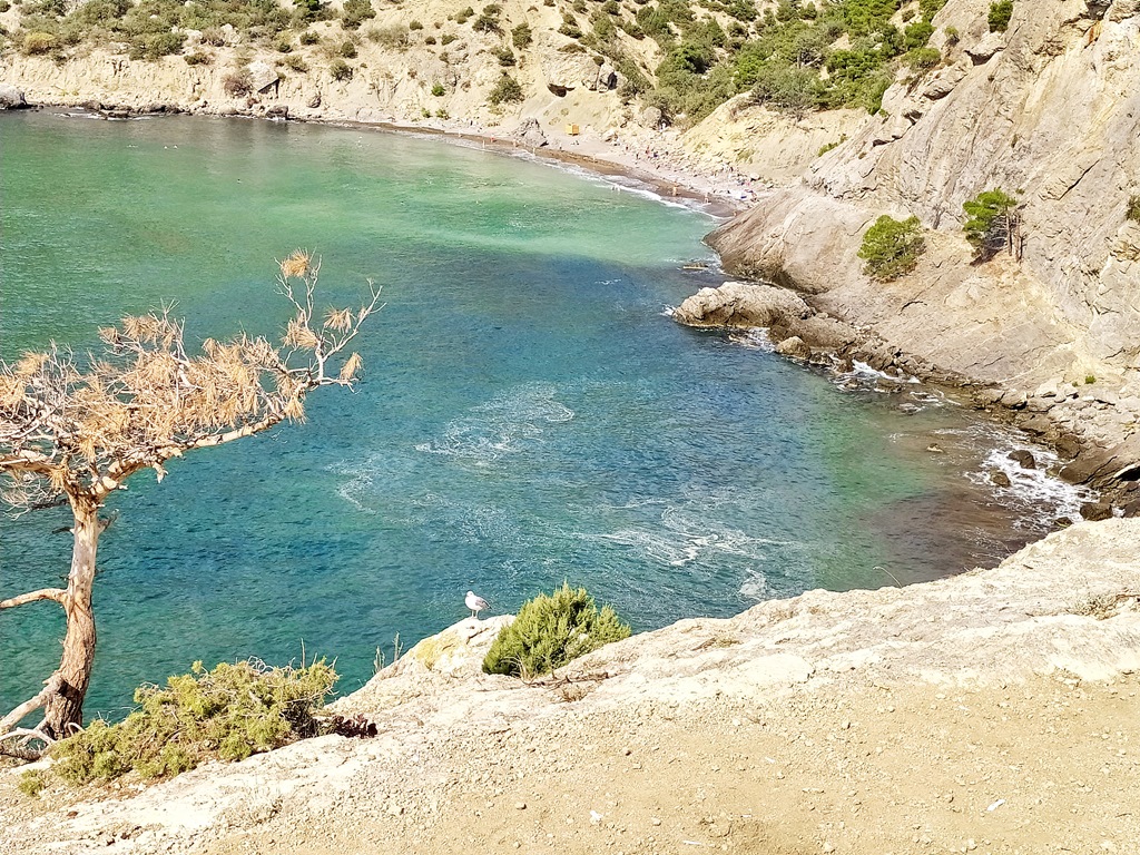 https://i.postimg.cc/L8FfRRjx/IMG-20210920-110250.jpg