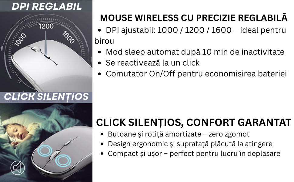 Mouse NETSTAT Prezentare 4